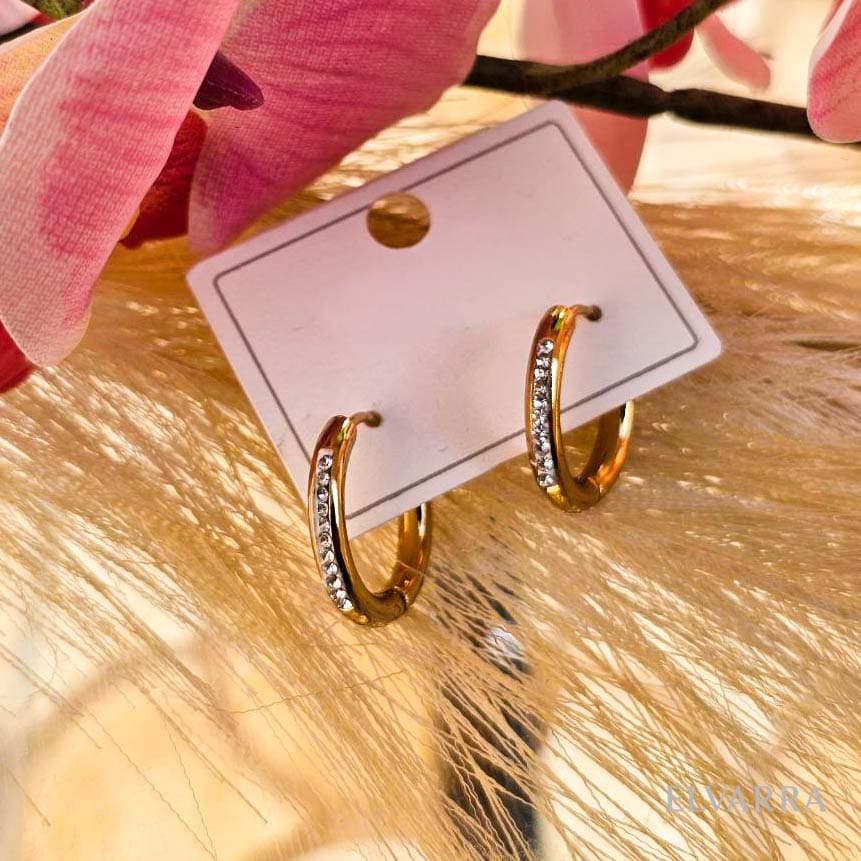 Stainless Steel Jewelry Women Hollow Small Zircon Hoop Earrings